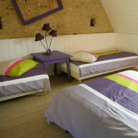 Chambres D'hotes Les Machicoulis 卡斯泰尔诺拉沙佩尔